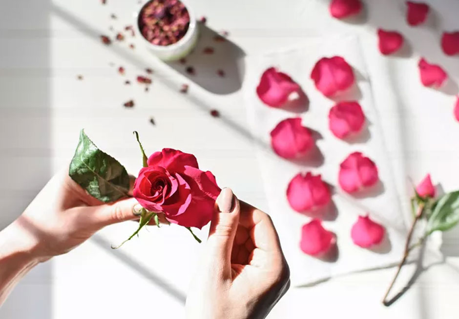 How to Harvest and Dry Rose Petals for Smoking
